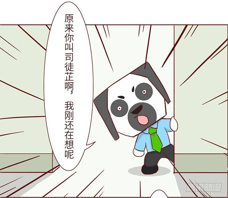 🍱十三生笑 谐音 第6页