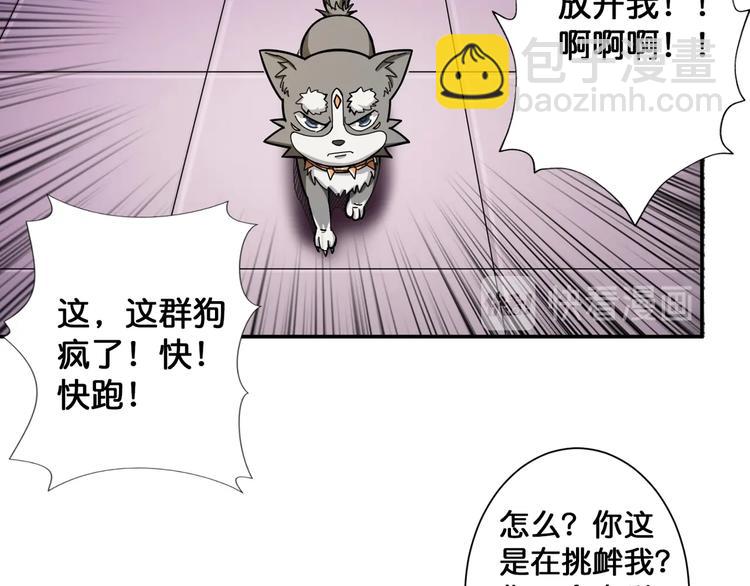 🍱噬神纪 第102话 你想变强吗💥 第11页