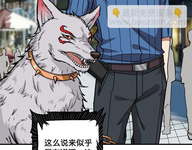 🍱噬神纪 第144话 你家土地是偶像 第37页