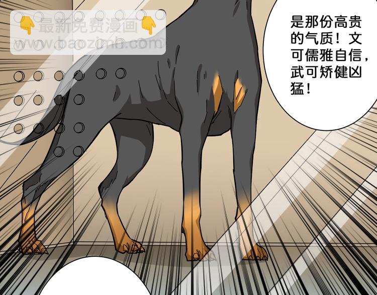 🍱噬神纪 第66话 老祖 第22页