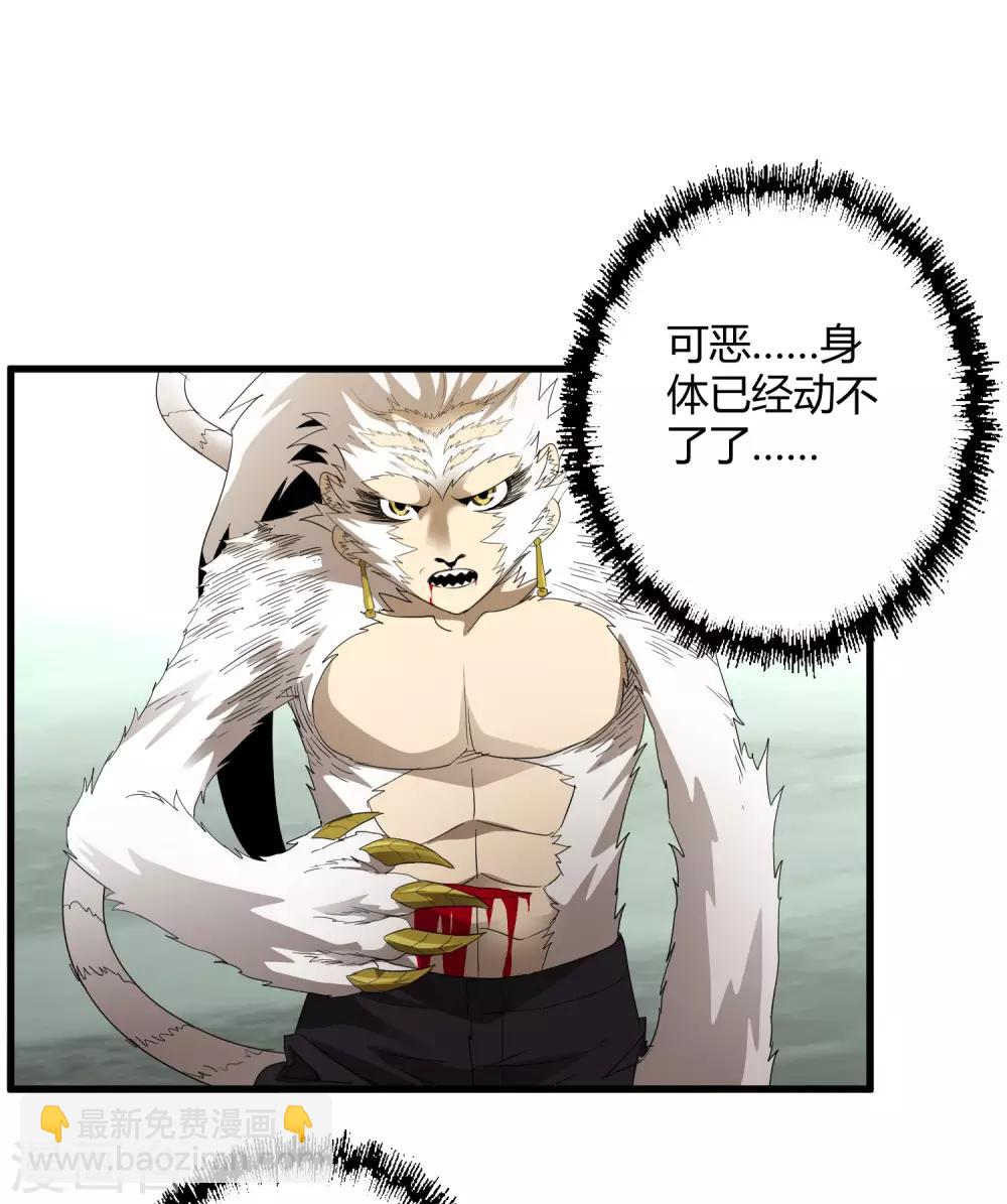 第163话 被操控的夏如风-第168话