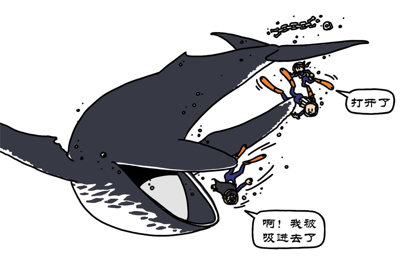 第21集 生命之树藏生命，大海深处有大鱼-第20话