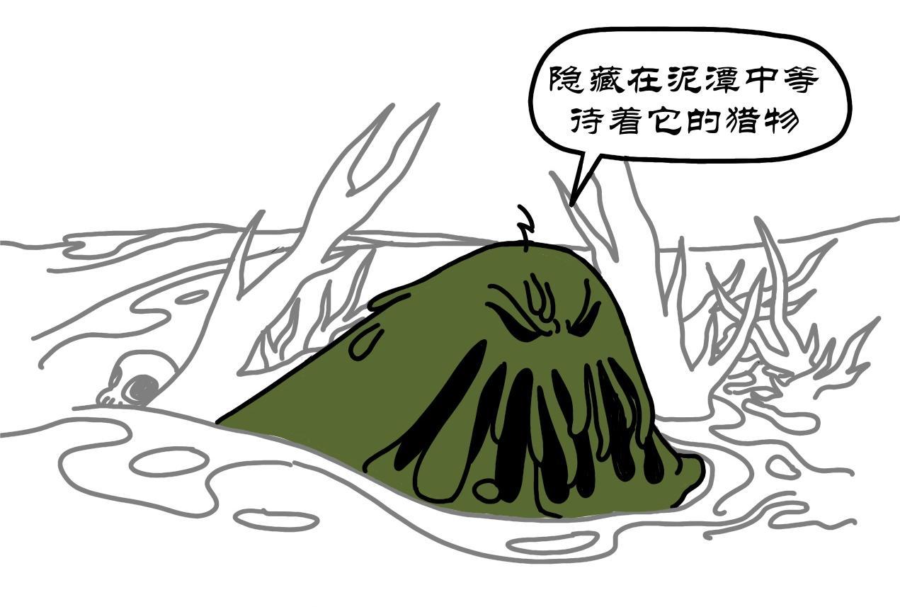 第5集 滑翔伞跳小操场，羊教官训大舞台-第4话