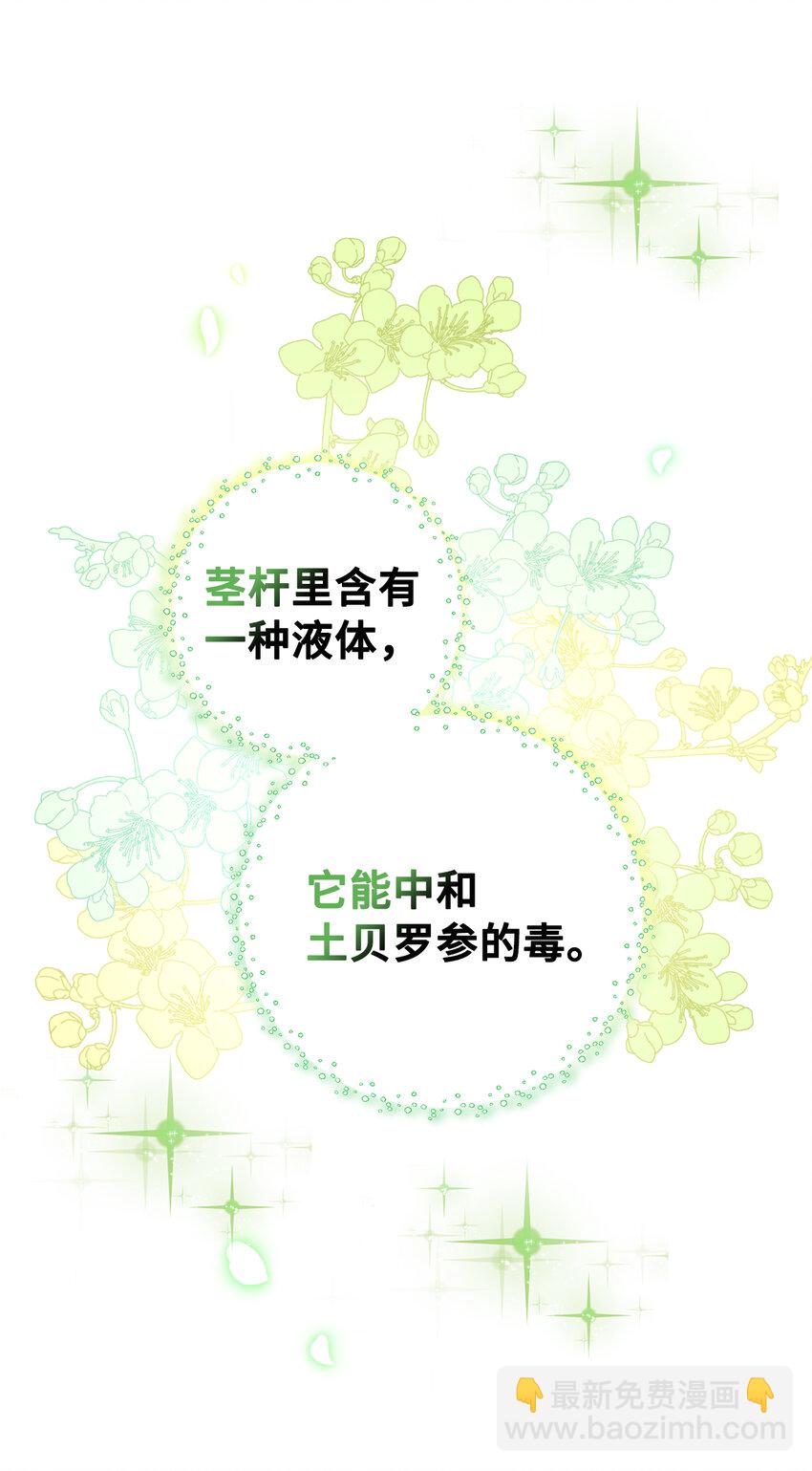 9 小松鼠的锦囊妙计(1/2)-第10话