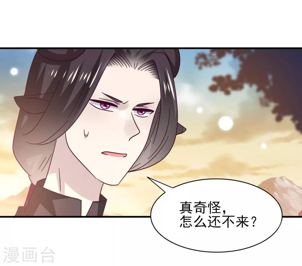 第44话 小狼狼和猫骑士之间的火药味-第48话