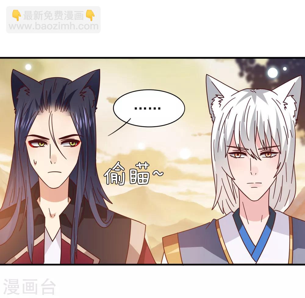 第44话 小狼狼和猫骑士之间的火药味-第48话
