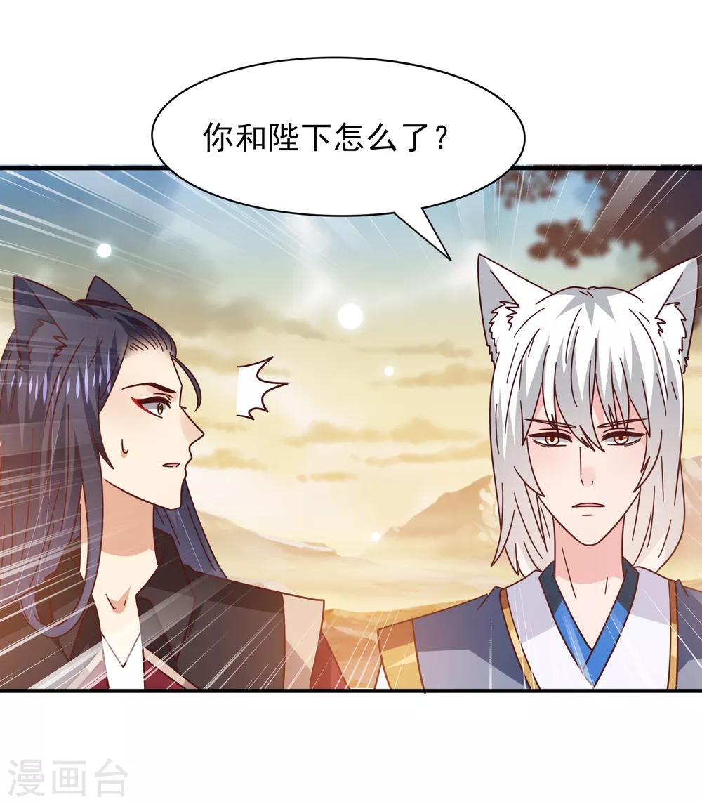 第44话 小狼狼和猫骑士之间的火药味-第48话