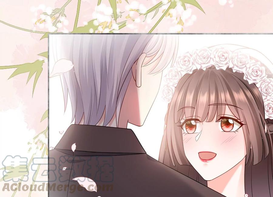 第116话 梦中的婚礼(1/2)-第120话