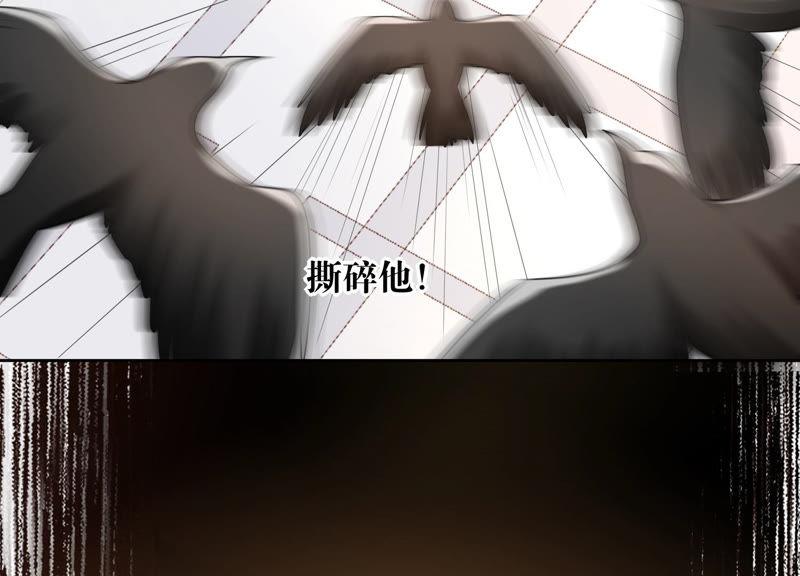 第41话 不用再保护我了(1/3)-第42话