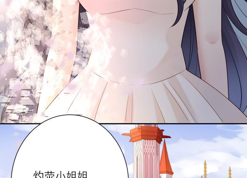 第53话 再见了，灼莹(1/2)-第54话