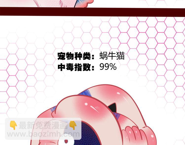 第6话  宠物病毒扩散！(1/3)-第8话