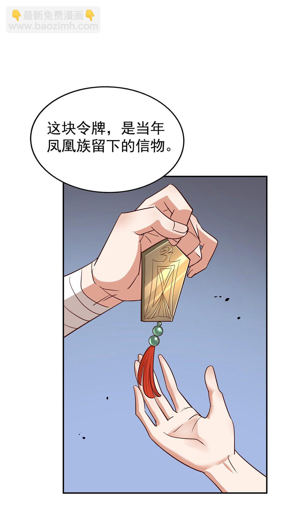 第一季 最终话 前往凤凰族(1/2)-第162话