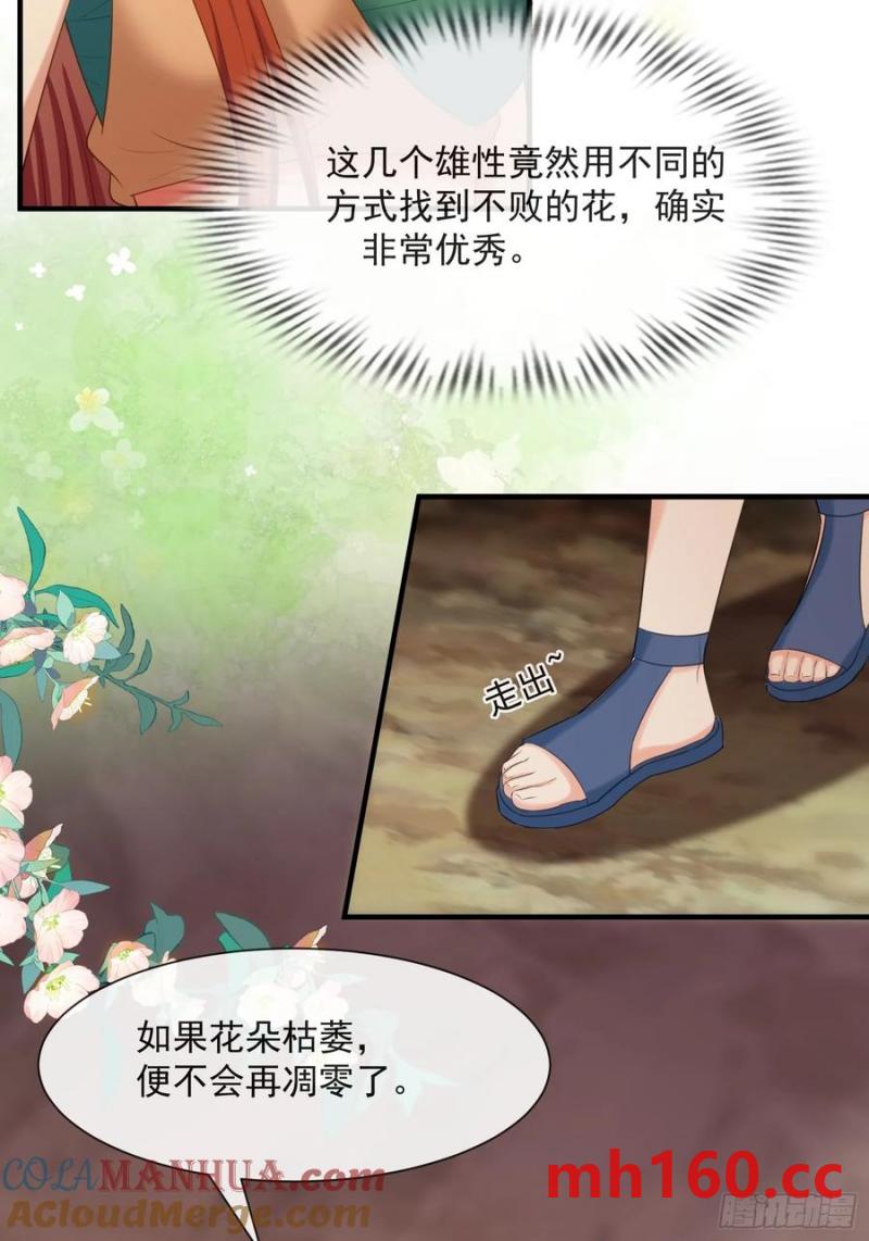 永不凋零的花-第90话