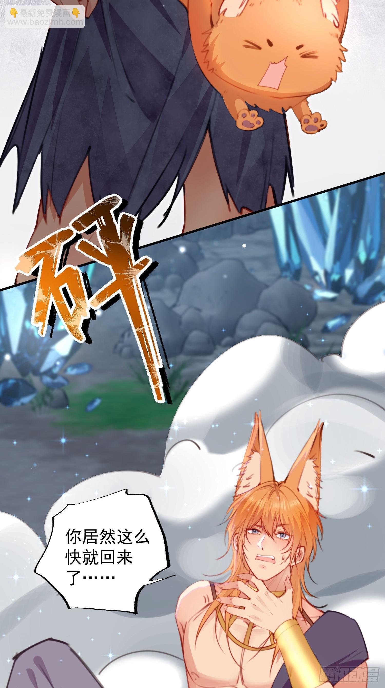 第15话狐狸狮子争宠啦(1/2)-第16话