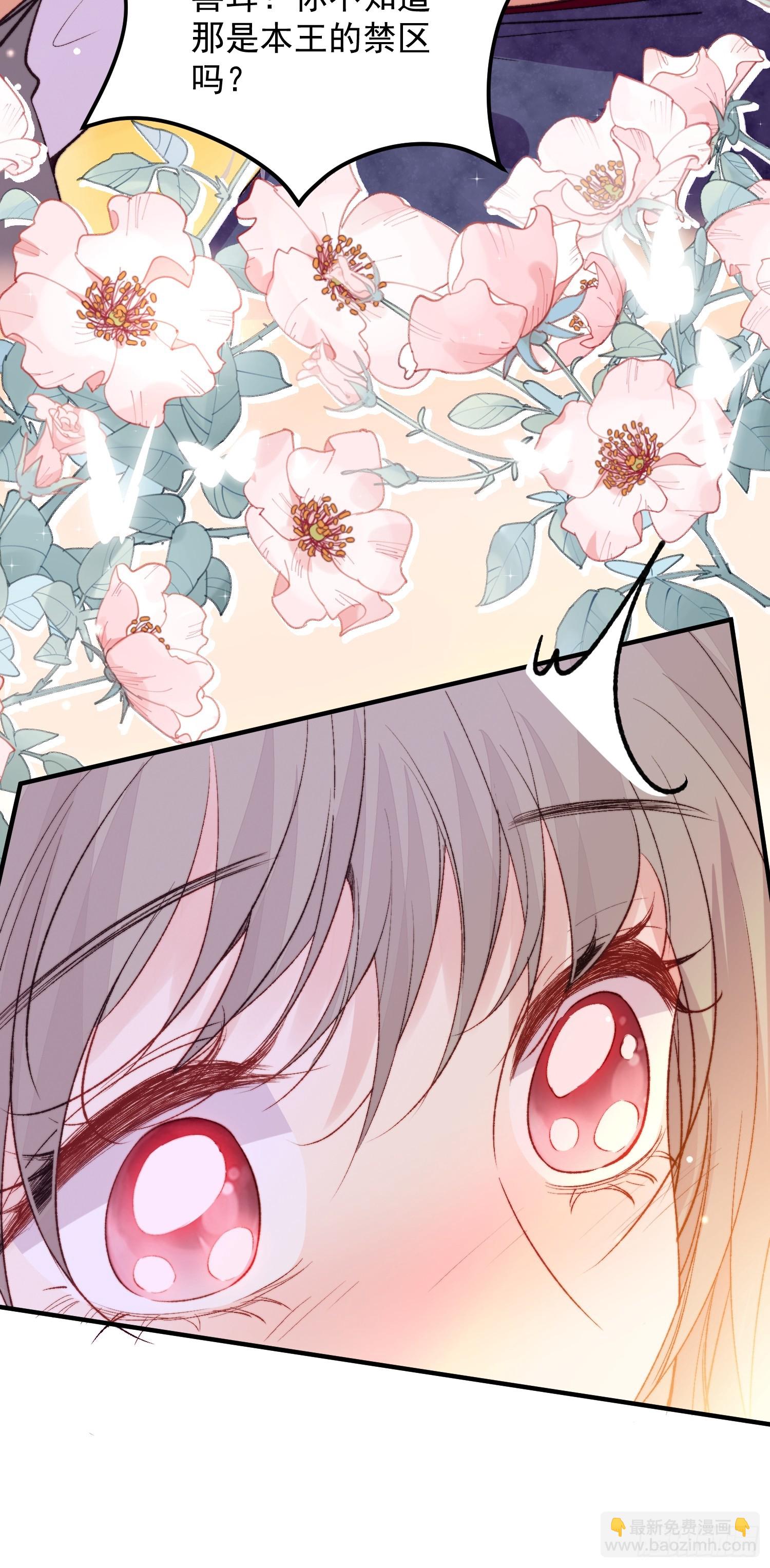 第1话我穿越了！(1/2)-第2话
