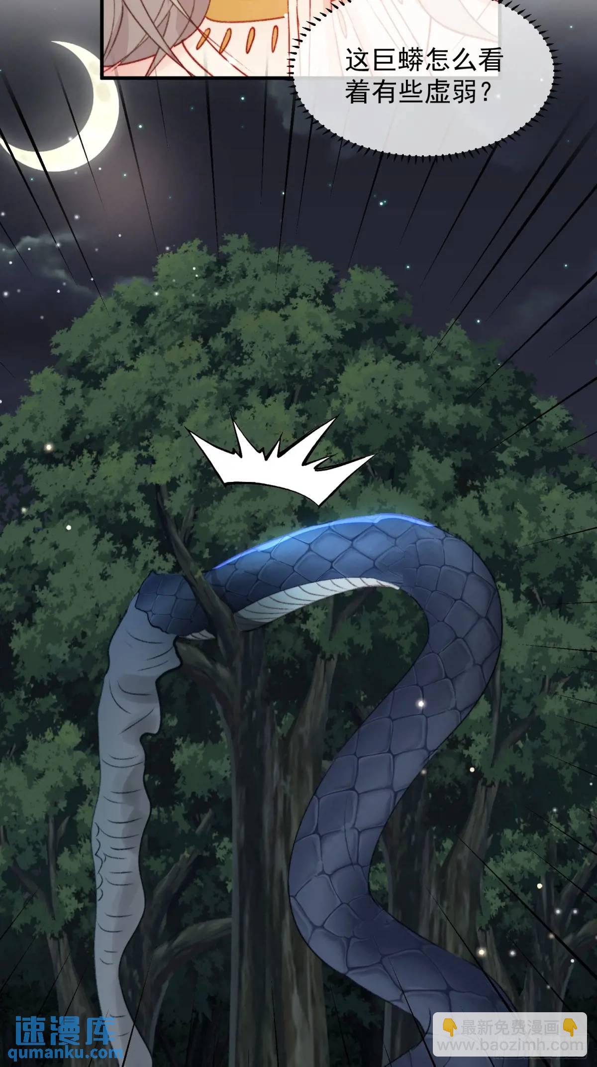 第30话傲娇蛇男要以身相许？-第32话