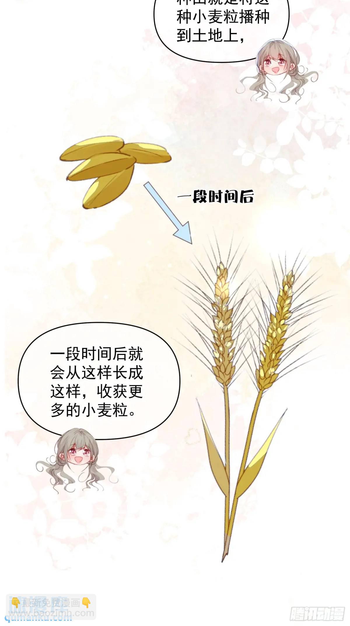第52话吃醋啦-第54话