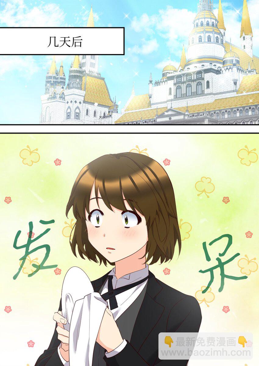 148 番外10 一个小侍从的幸福瞬间(1/2)-第144话