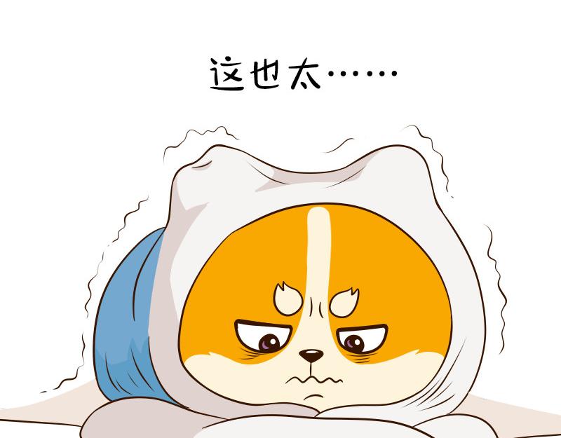 🍱书单狗的异想世界 冬天的南方人，都是拿命在起床 第19页