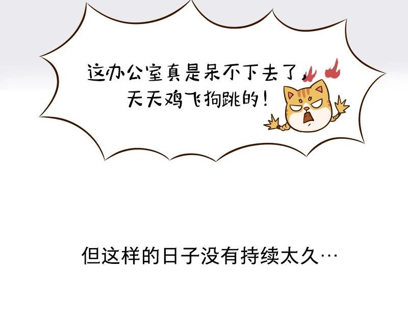 🍱书单狗的异想世界 老板的抠门式养生，要把我逼疯！ 第34页
