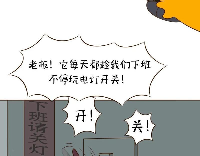 🍱书单狗的异想世界 老板的抠门式养生，要把我逼疯！ 第41页