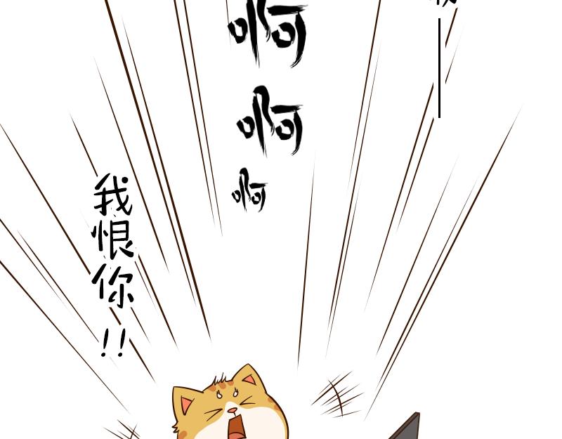 🍱书单狗的异想世界 啊，多么痛的领悟！ 第10页