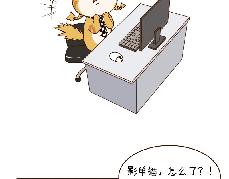 🍱书单狗的异想世界 啊，多么痛的领悟！ 第11页