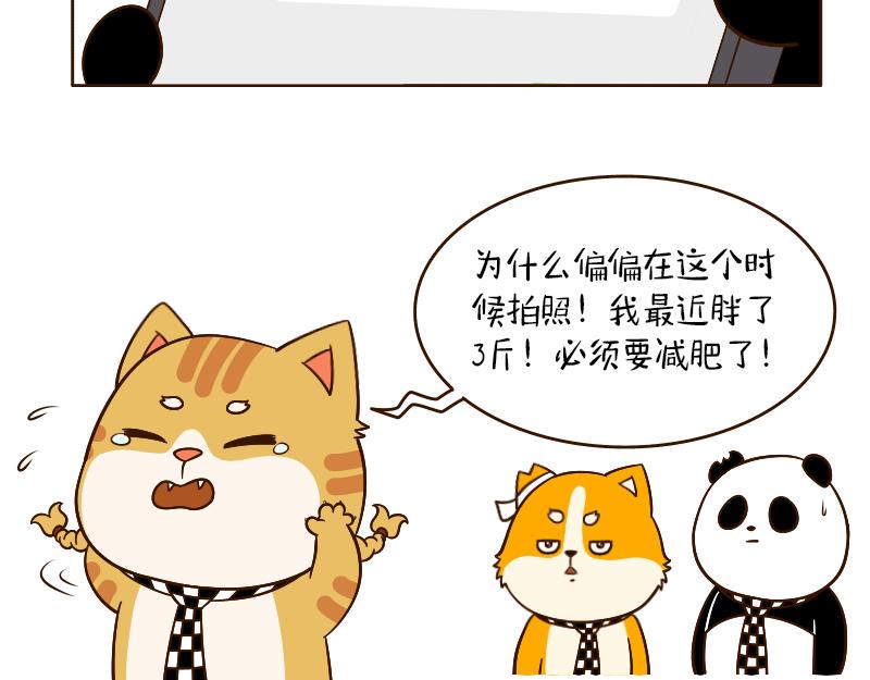 🍱书单狗的异想世界 啊，多么痛的领悟！ 第15页