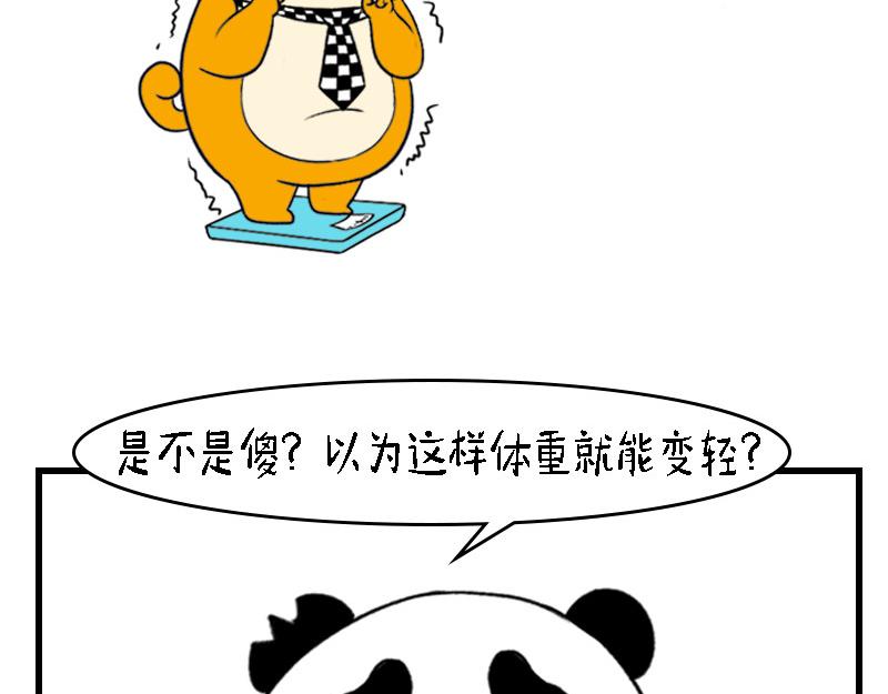 🍱书单狗的异想世界 资深微胖人士的内心独白 第11页