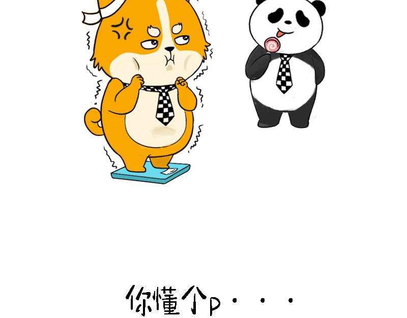 🍱书单狗的异想世界 资深微胖人士的内心独白 第13页