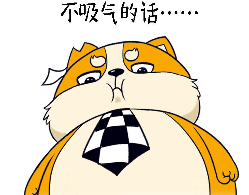 🍱书单狗的异想世界 资深微胖人士的内心独白 第15页
