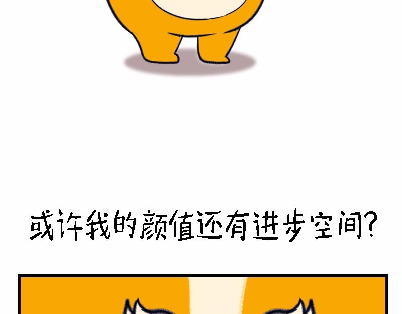 🍱书单狗的异想世界 资深微胖人士的内心独白 第26页