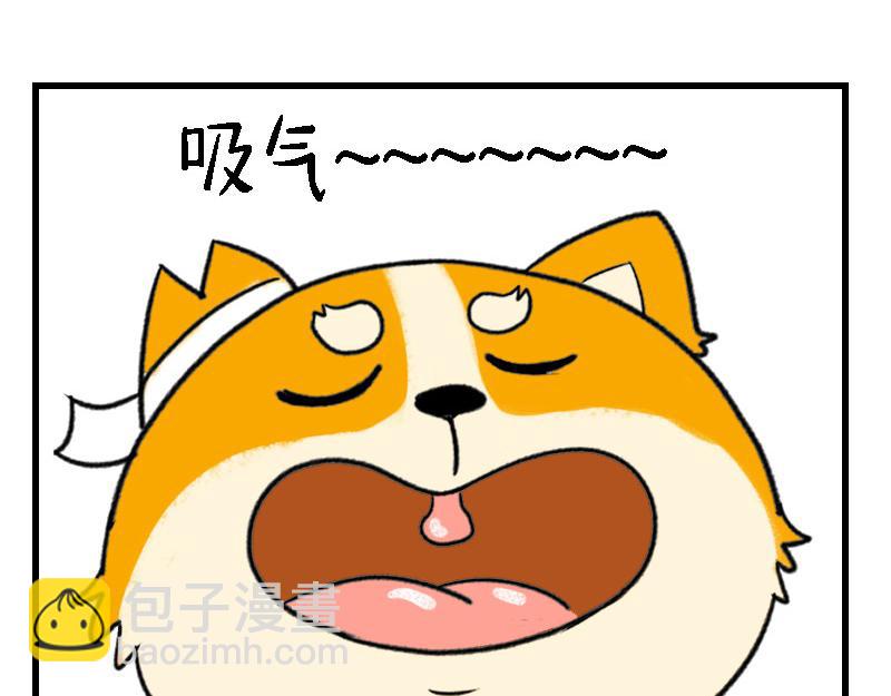 🍱书单狗的异想世界 资深微胖人士的内心独白 第3页