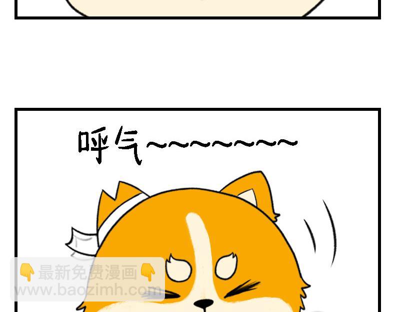 🍱书单狗的异想世界 资深微胖人士的内心独白 第4页