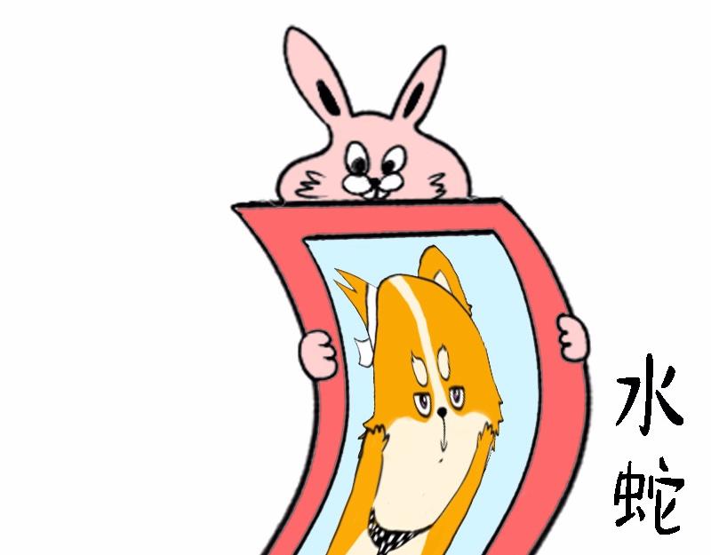 🍱书单狗的异想世界 资深微胖人士的内心独白 第40页