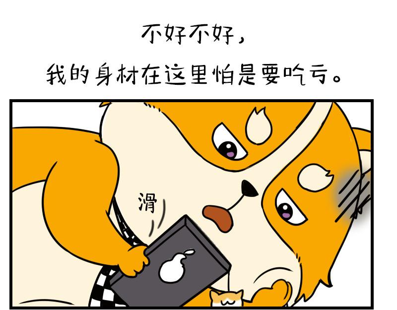 🍱书单狗的异想世界 史上最省钱的旅游攻略！ 第10页