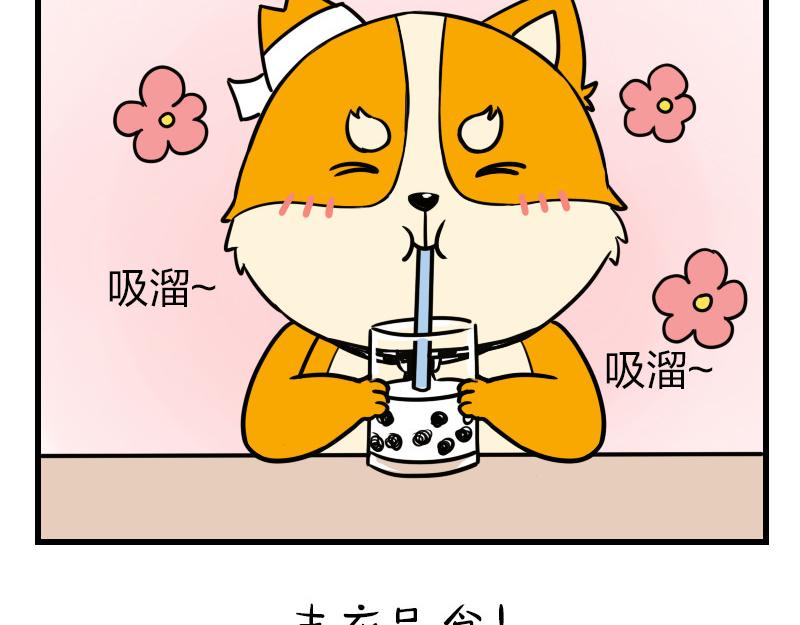 🍱书单狗的异想世界 史上最省钱的旅游攻略！ 第28页