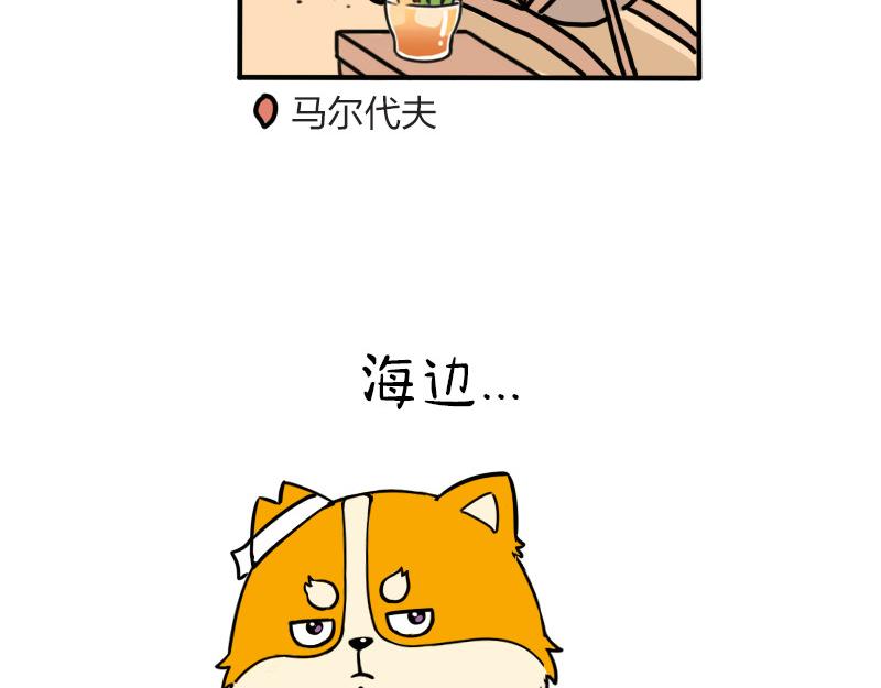 🍱书单狗的异想世界 史上最省钱的旅游攻略！ 第49页