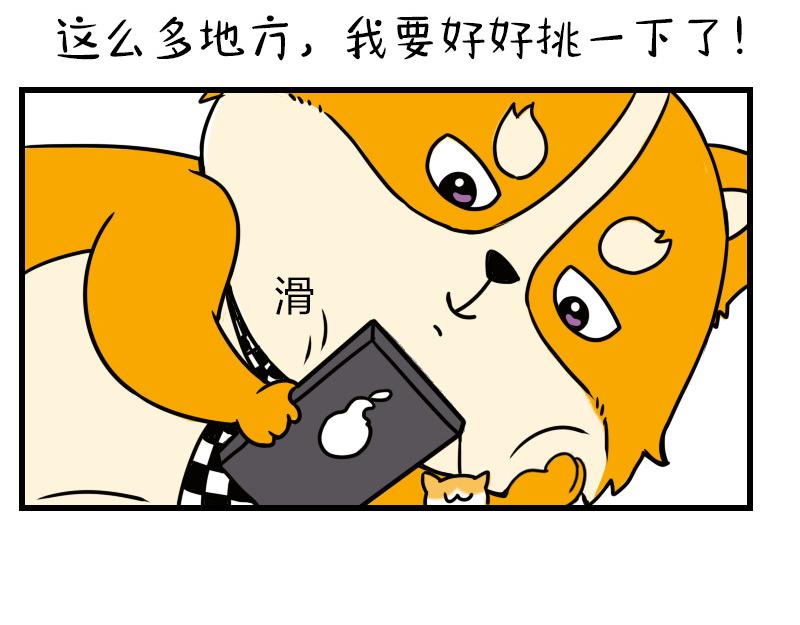 🍱书单狗的异想世界 史上最省钱的旅游攻略！ 第8页