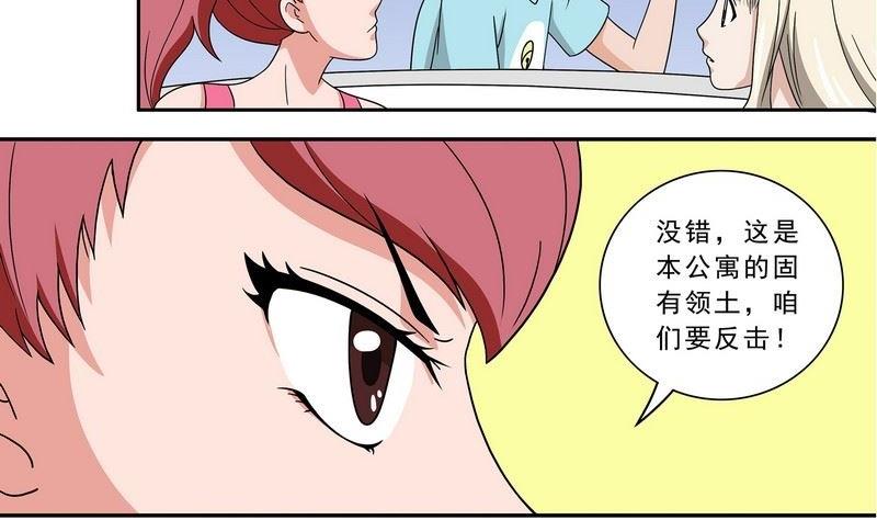第35话-第36话