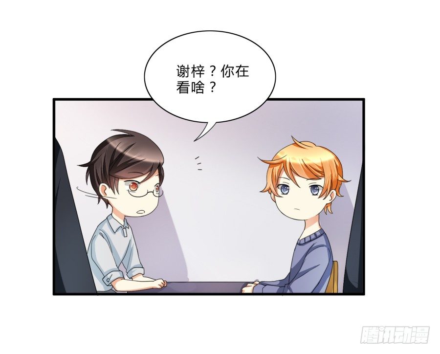 来自喵界的权威！-第14话