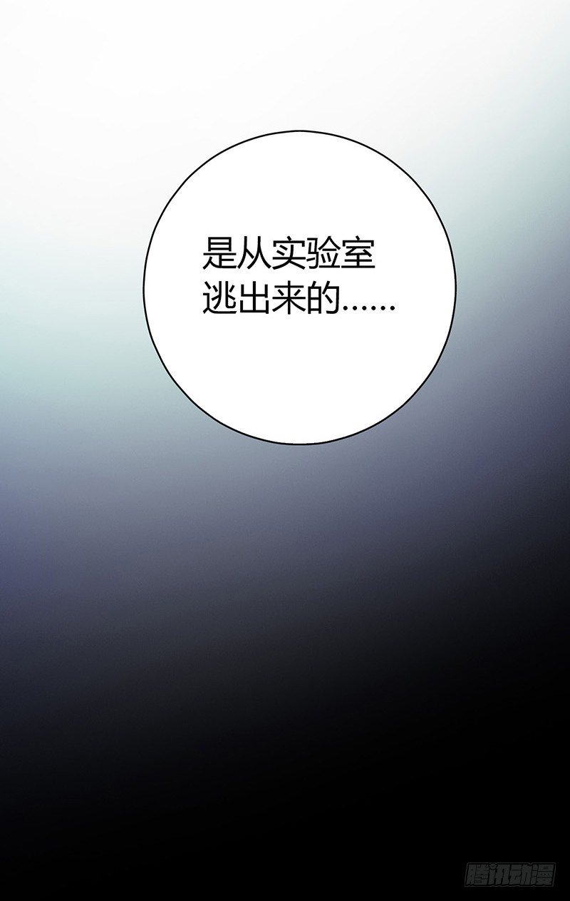 第4章 她的一生4-第40话