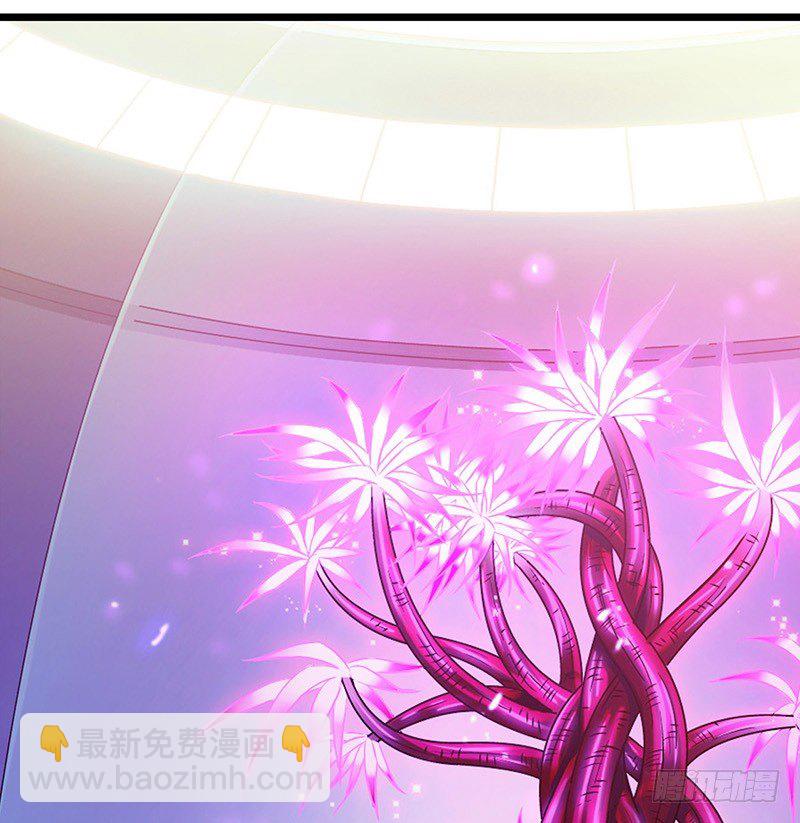 第7章 永生花1(1/2)-第60话