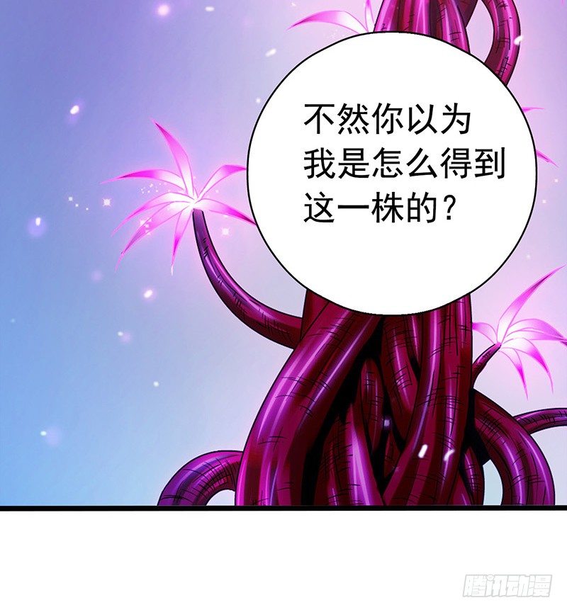 第7章 永生花1(1/2)-第60话