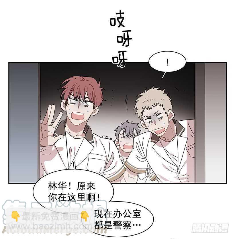 他已卸下伪装-第208话