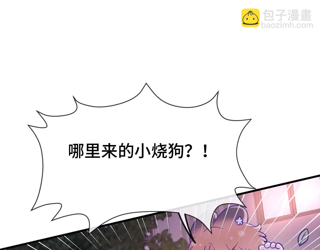 番外篇 召唤恶狐-第70话