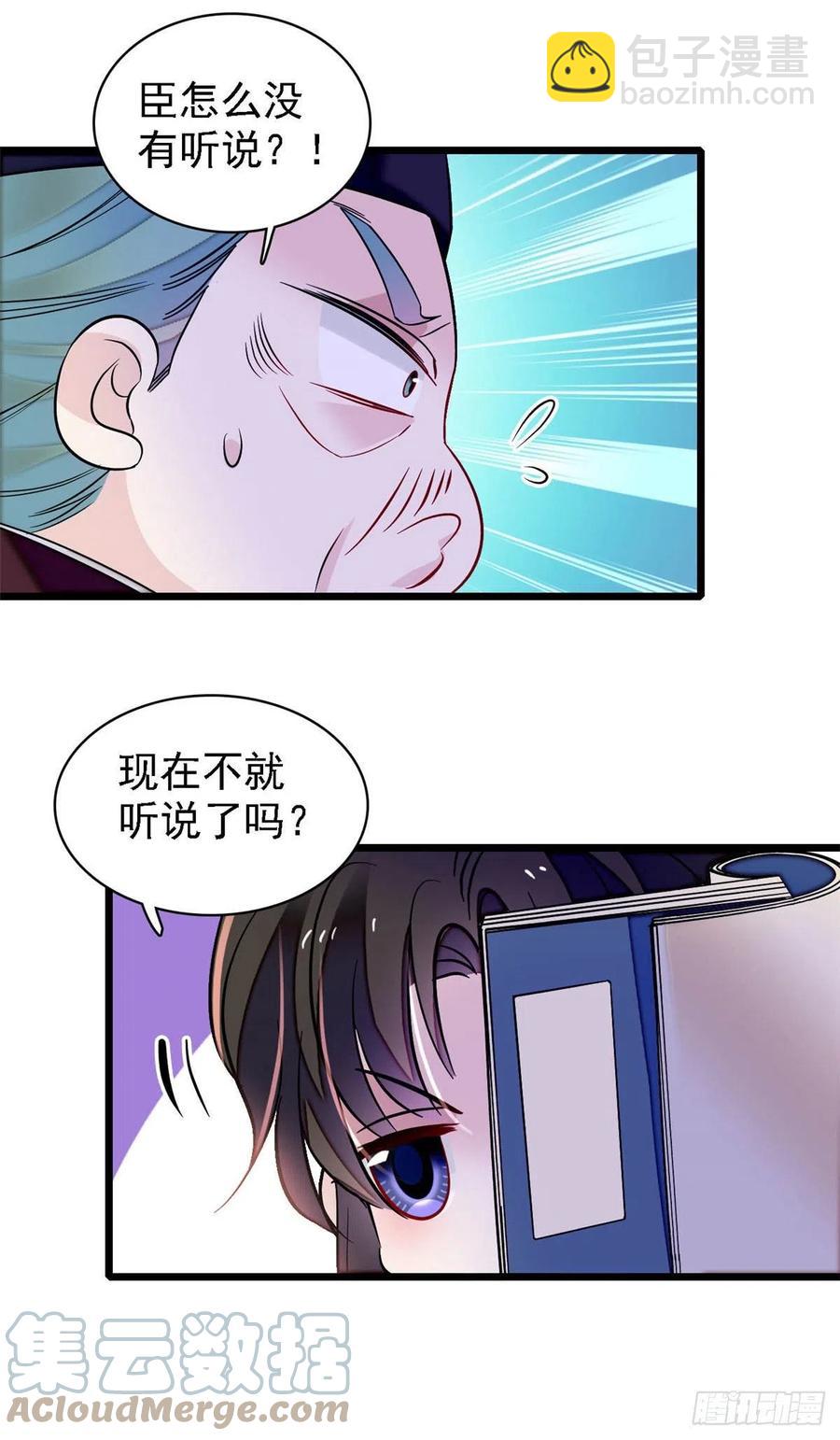 第166话 王妃有喜了！-第166话
