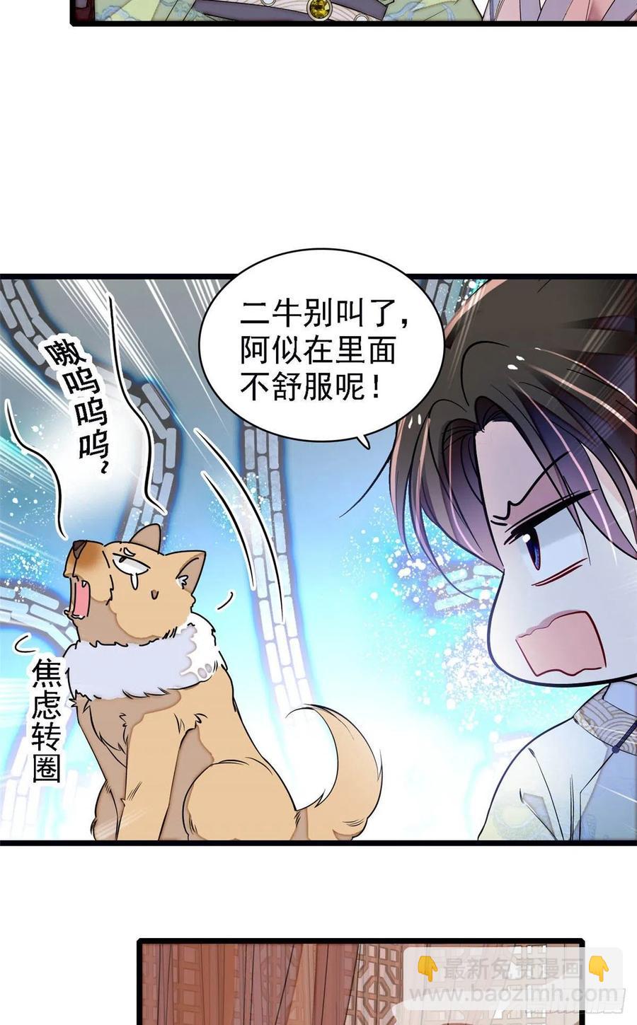 第166话 王妃有喜了！-第166话