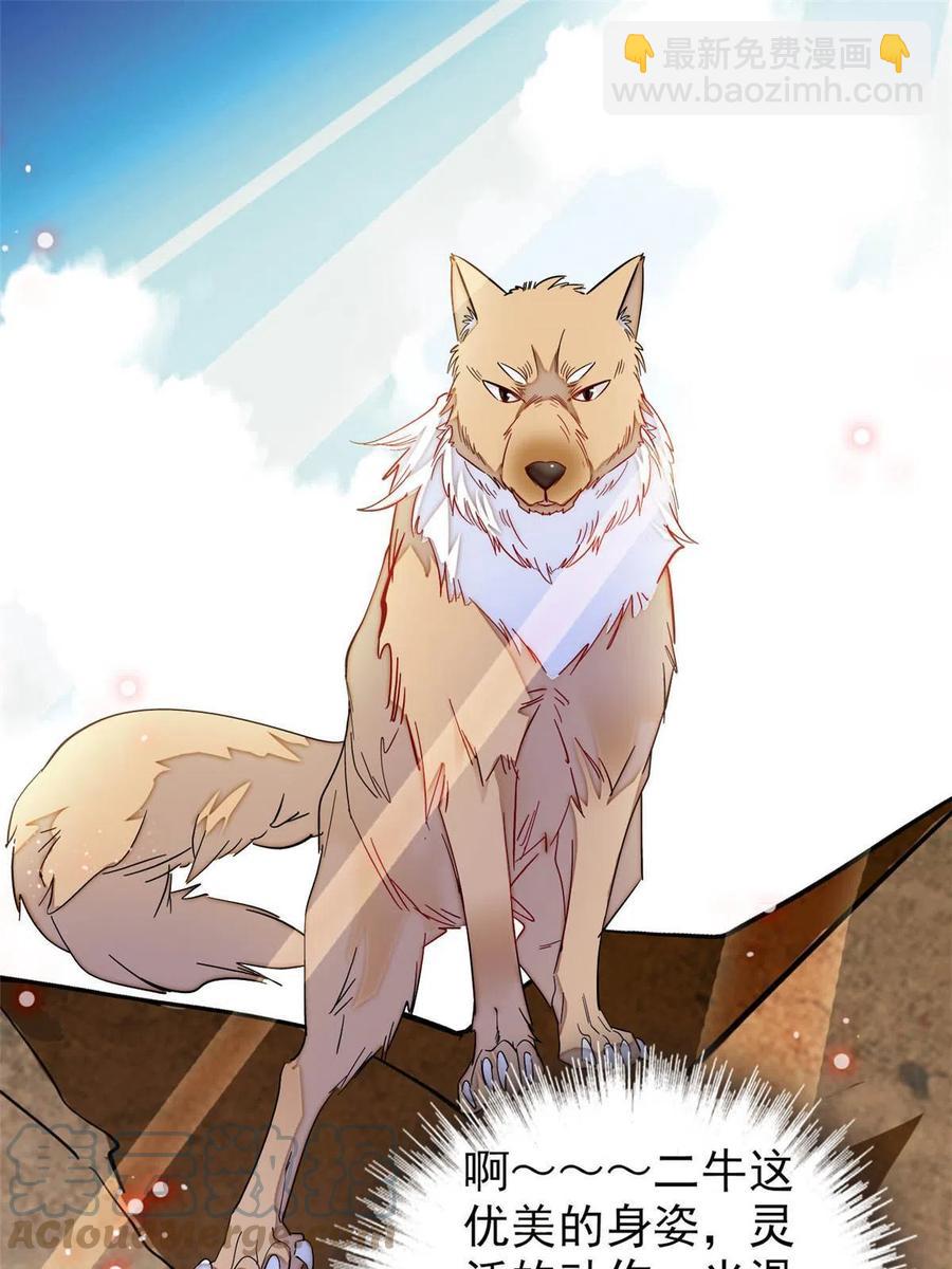 第227话 最强搜救犬二牛(1/2)-第230话