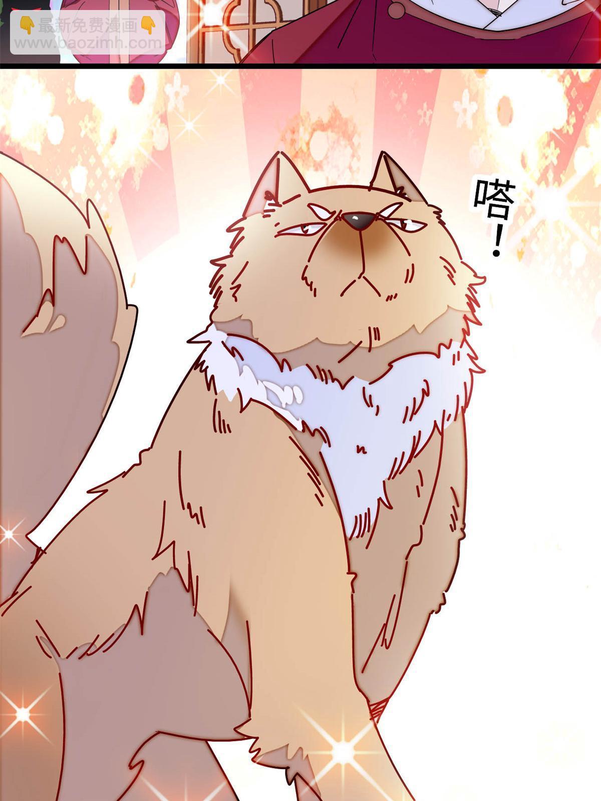 第257话 寻找偶人(1/2)-第260话